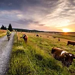 Дом отдыха Meadows Terraced